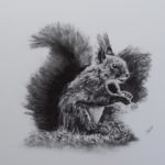 Bild von Eva Jalinek: Eichhörnchen