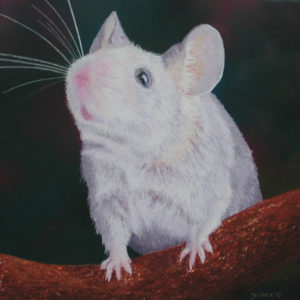 Pastellbild von Eva Jelinek: Helle Maus